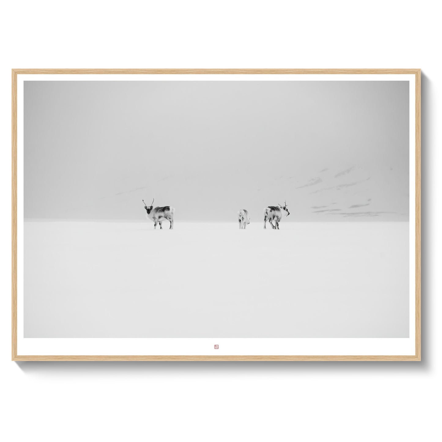 Svalbard Reindeers | Fine Art Print