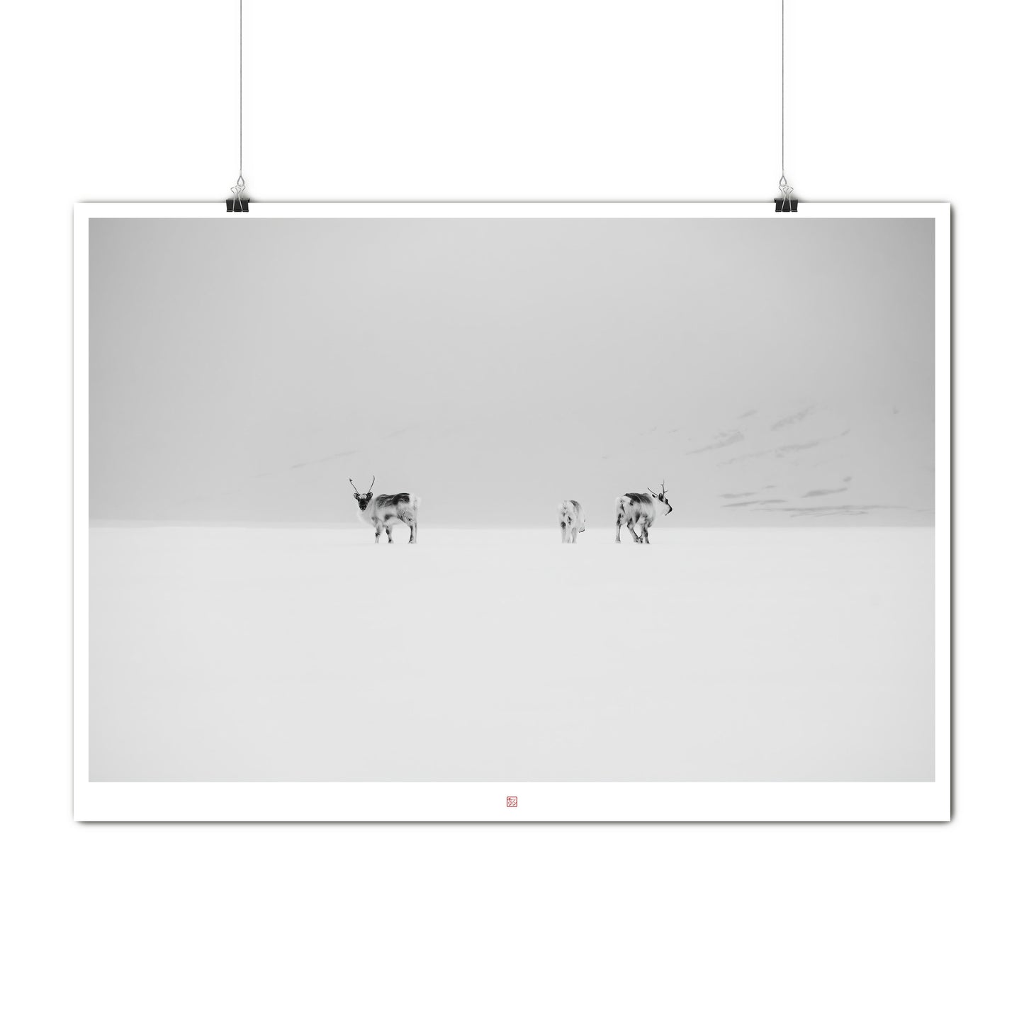 Svalbard Reindeers | Fine Art Print