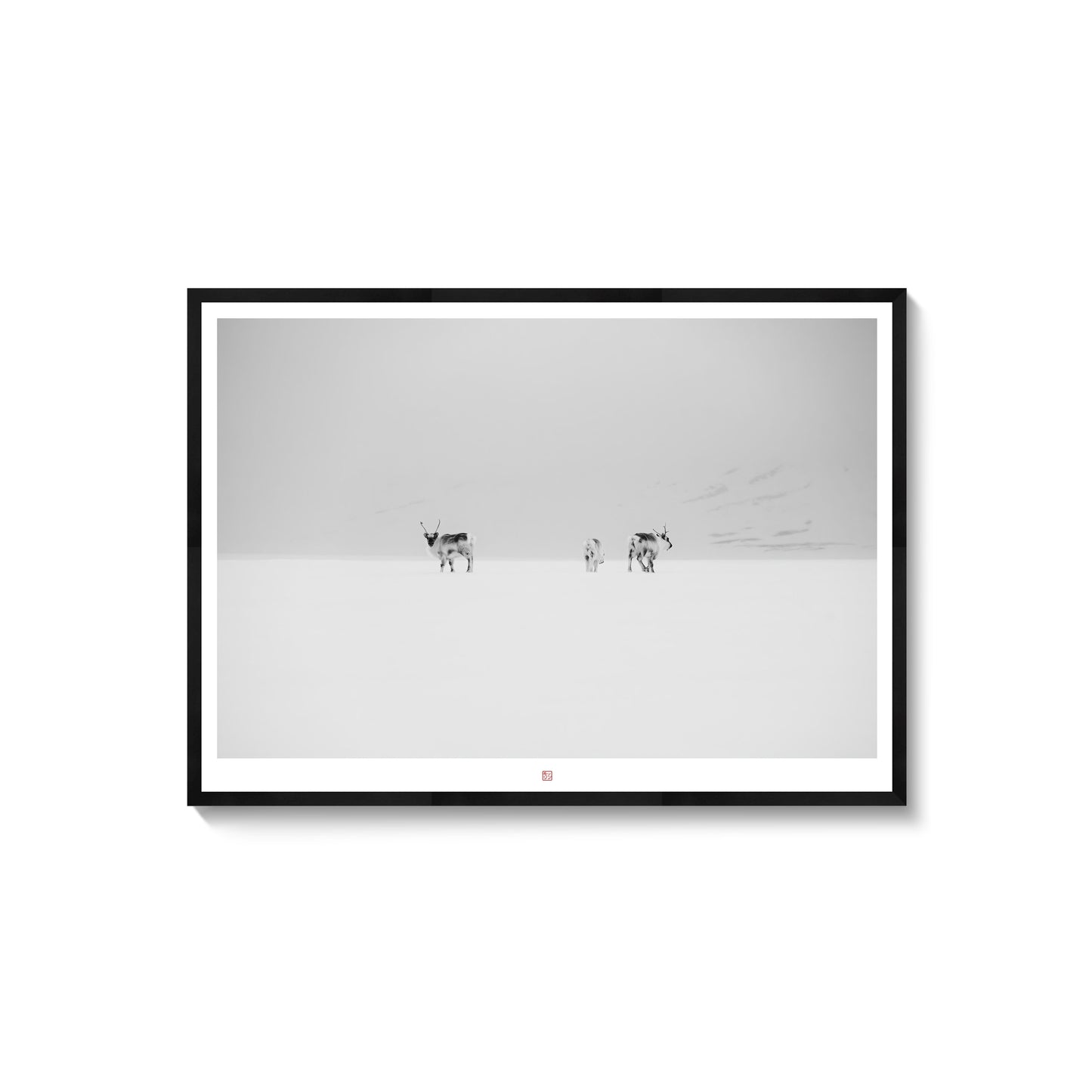 Svalbard Reindeers | Fine Art Print