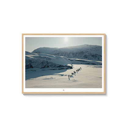 In Front of the Glacier | Fine Art Print