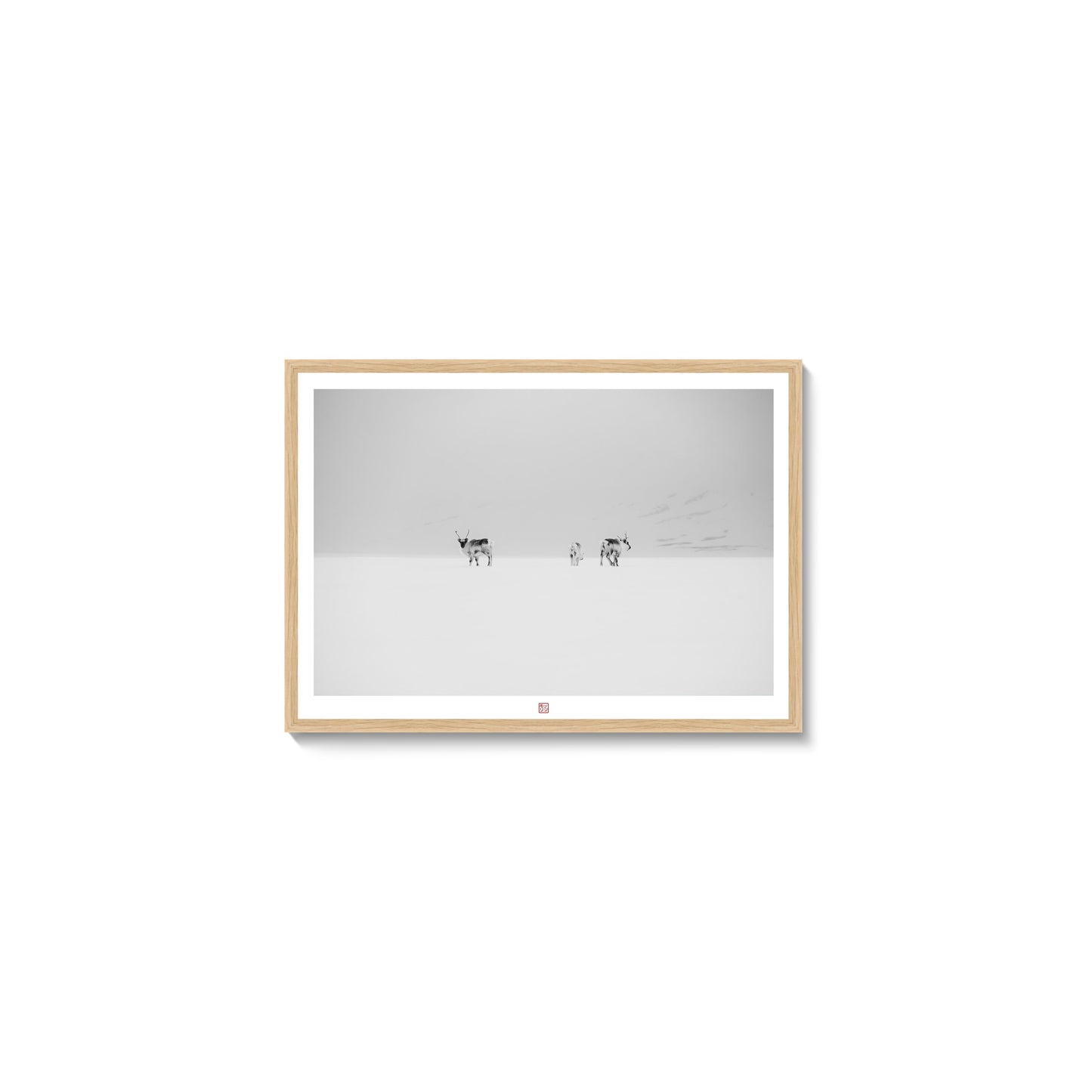 Svalbard Reindeers | Fine Art Print