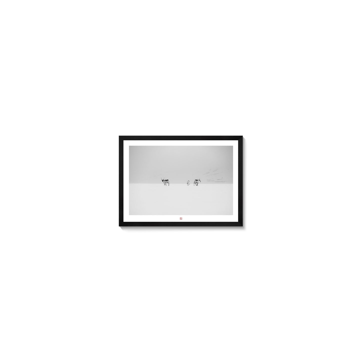 Svalbard Reindeers | Fine Art Print