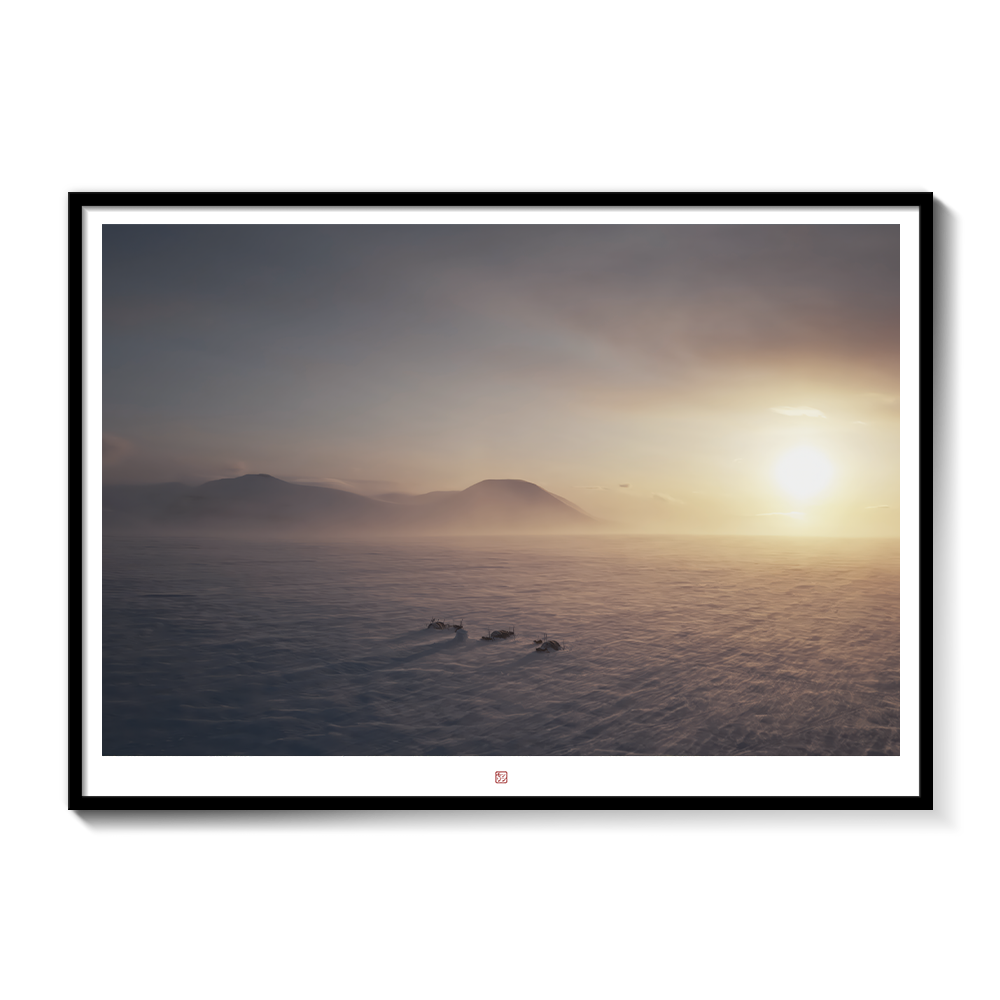 Arctic Camping | Fine Art Print